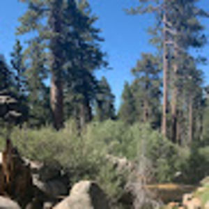 Meet your Posher, Milla